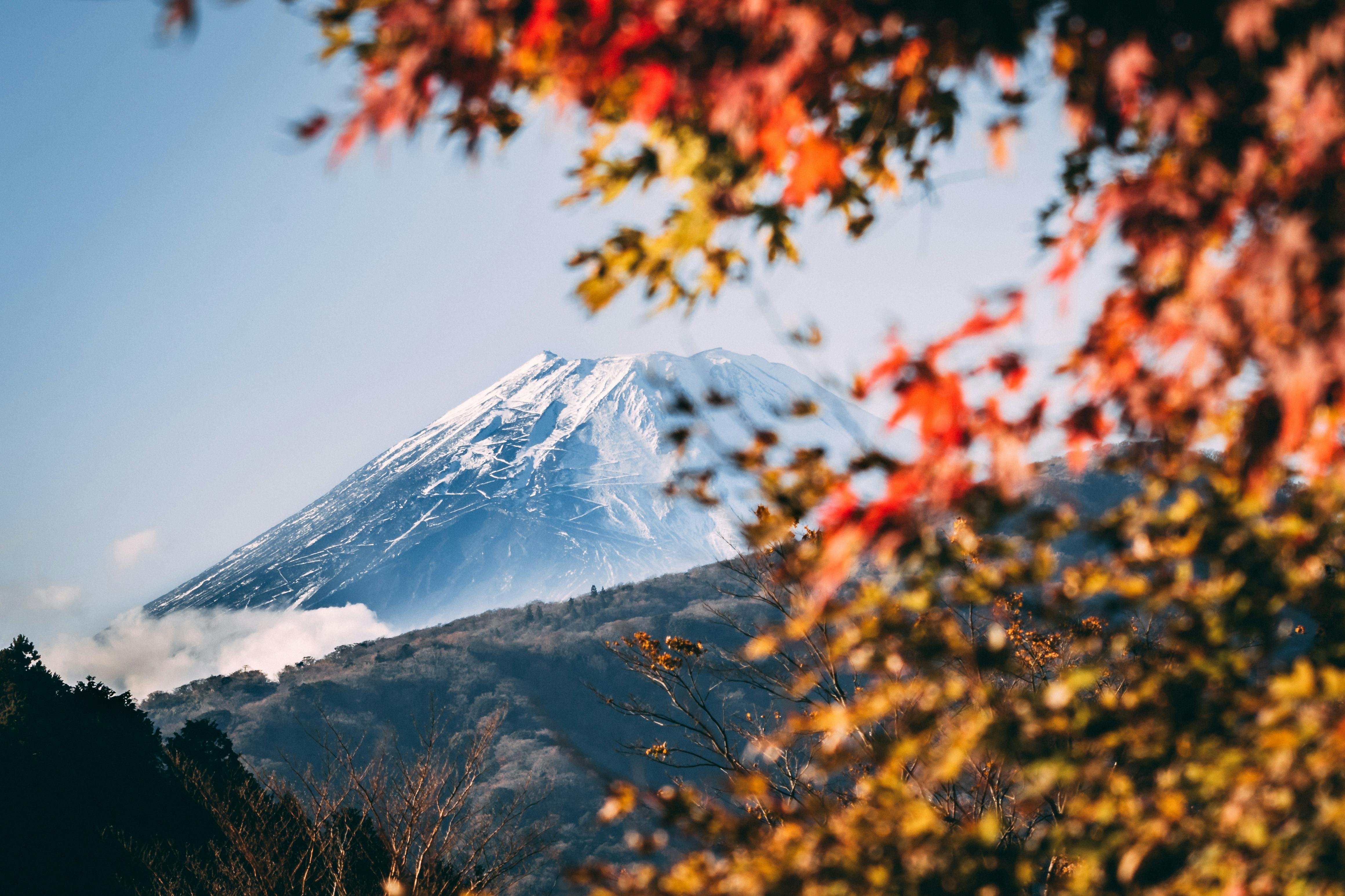High Cost of High Places: Mountaineering’s Environmental Footprint and Community Solutions