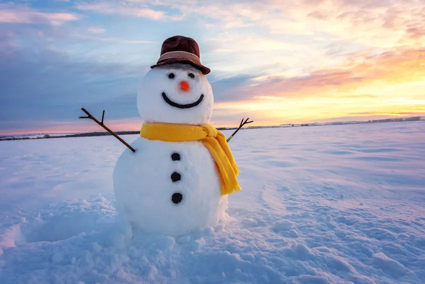 Join the Frosty Fun: Alpine Provisions Annual Best Snowman Competition!