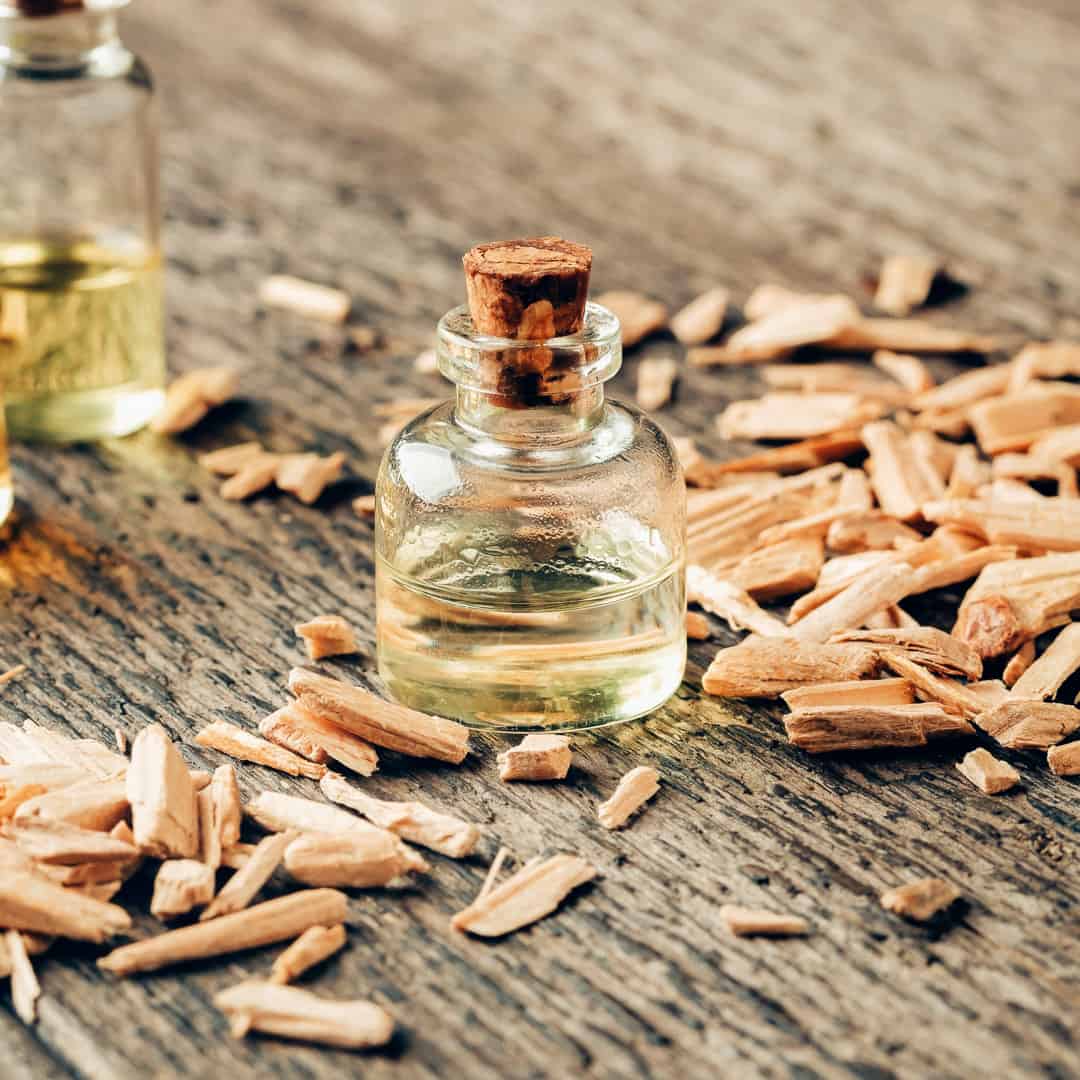 Cedar + Sandalwood | Starter Bundle