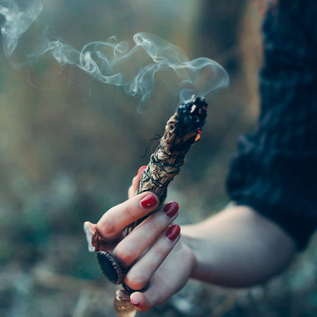 Fir + Sage | Starter Bundle