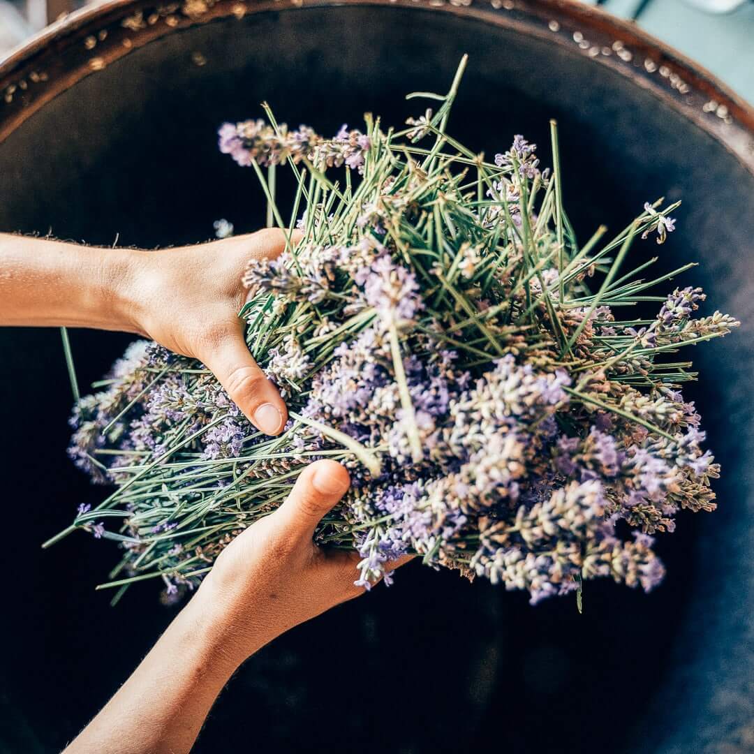 Lavender + Juniper | Body Wash