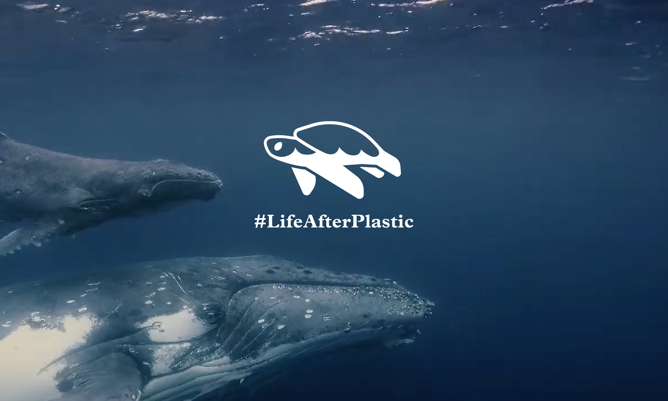 Creating a #LifeAfterPlastic