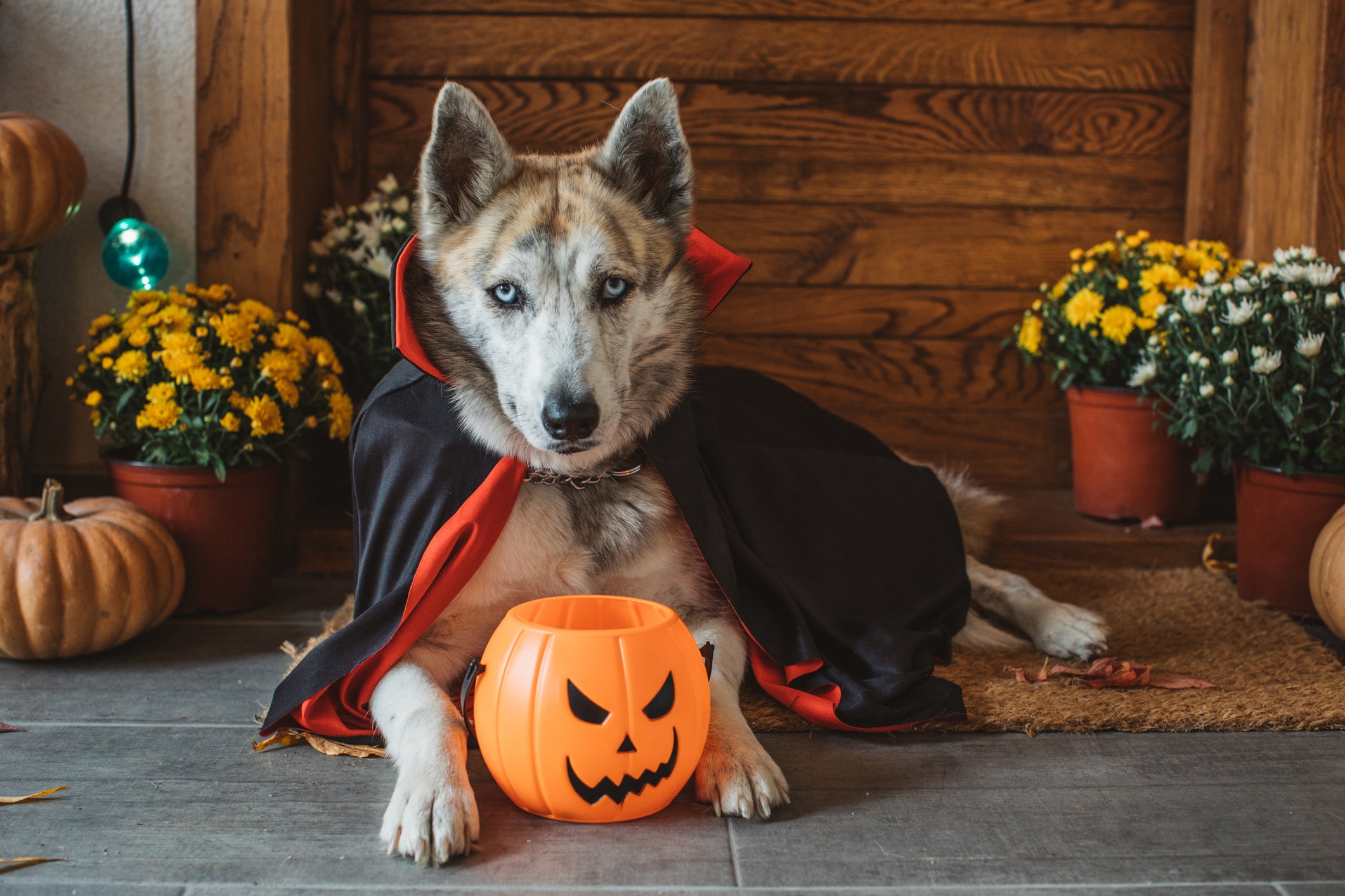 Healthy Halloween