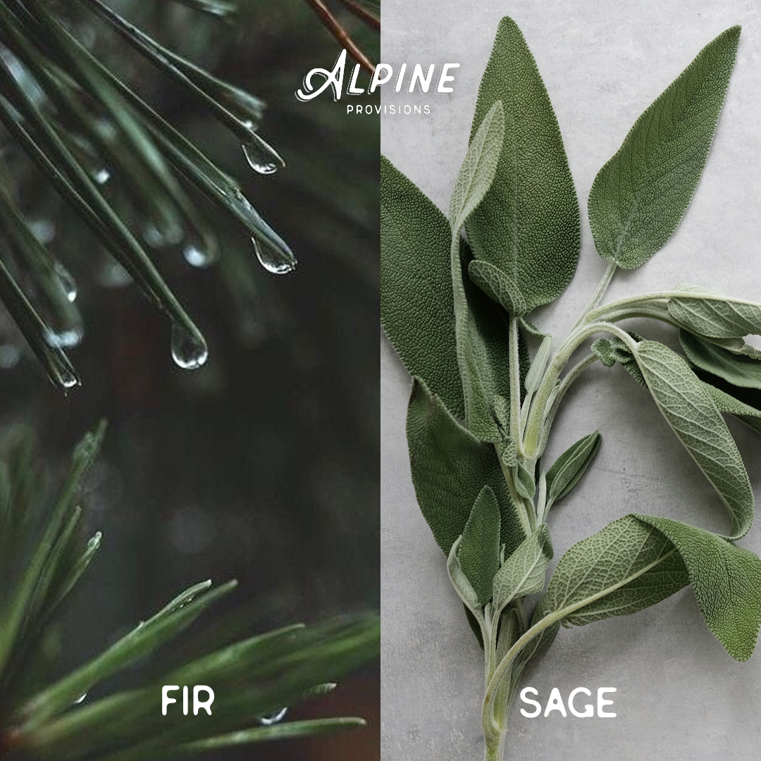 Body Wash | Variety Bundle