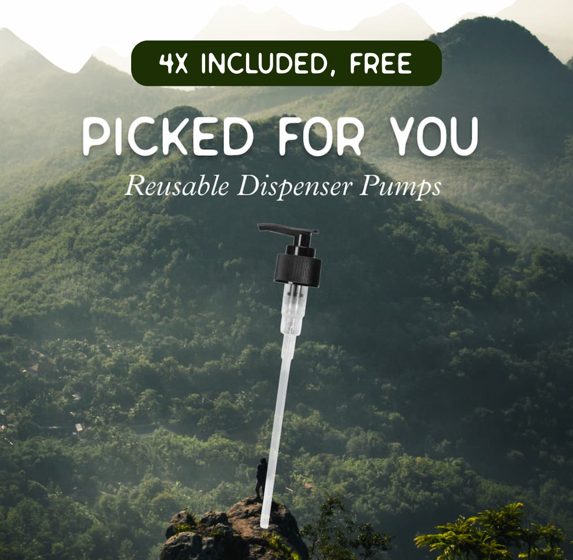 The Explorer | Variety Bundle