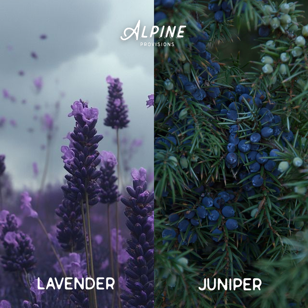 Body Wash | Variety Bundle