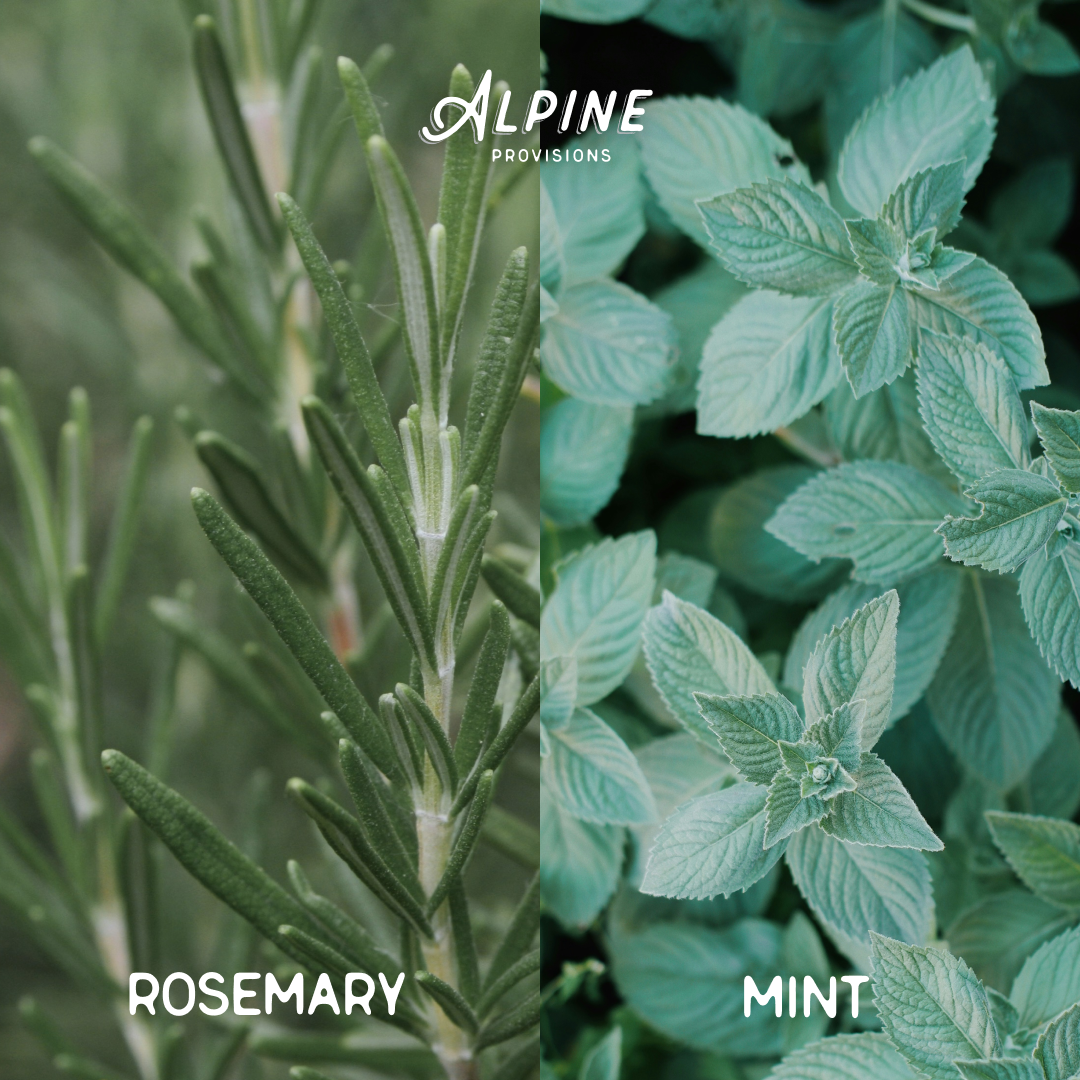 Body Wash | Variety Bundle 2