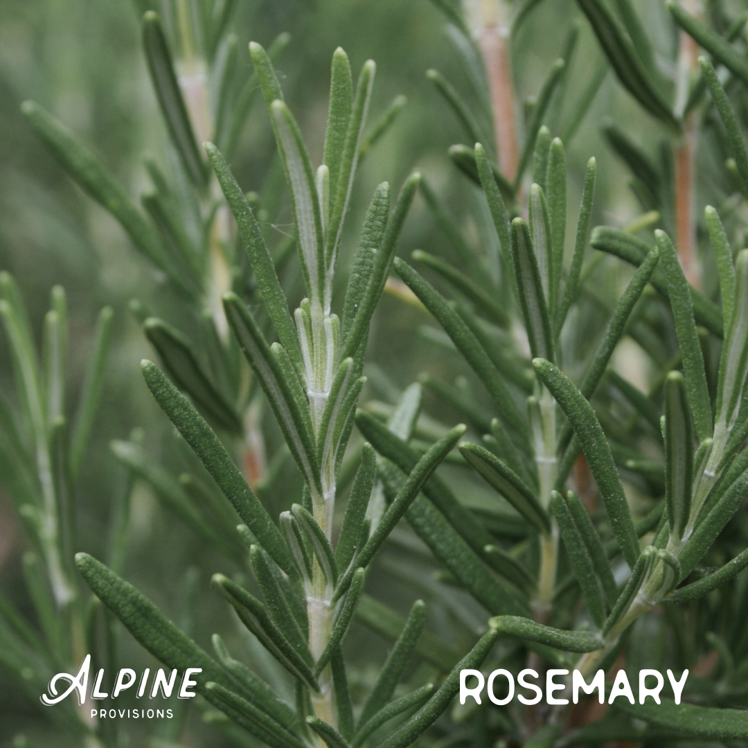 Rosemary + Mint | Bar Soap