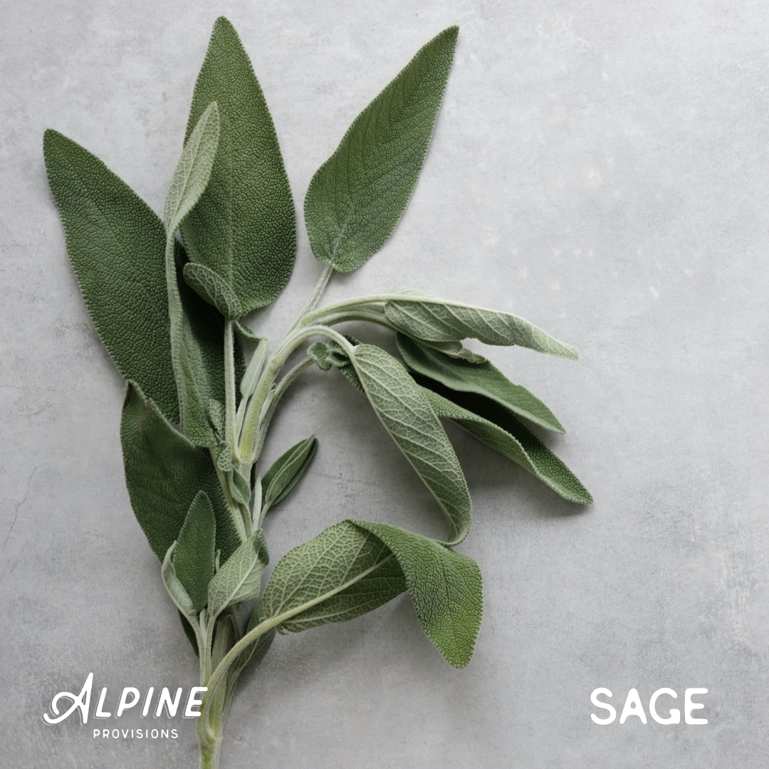 Fir + Sage | Starter Bundle